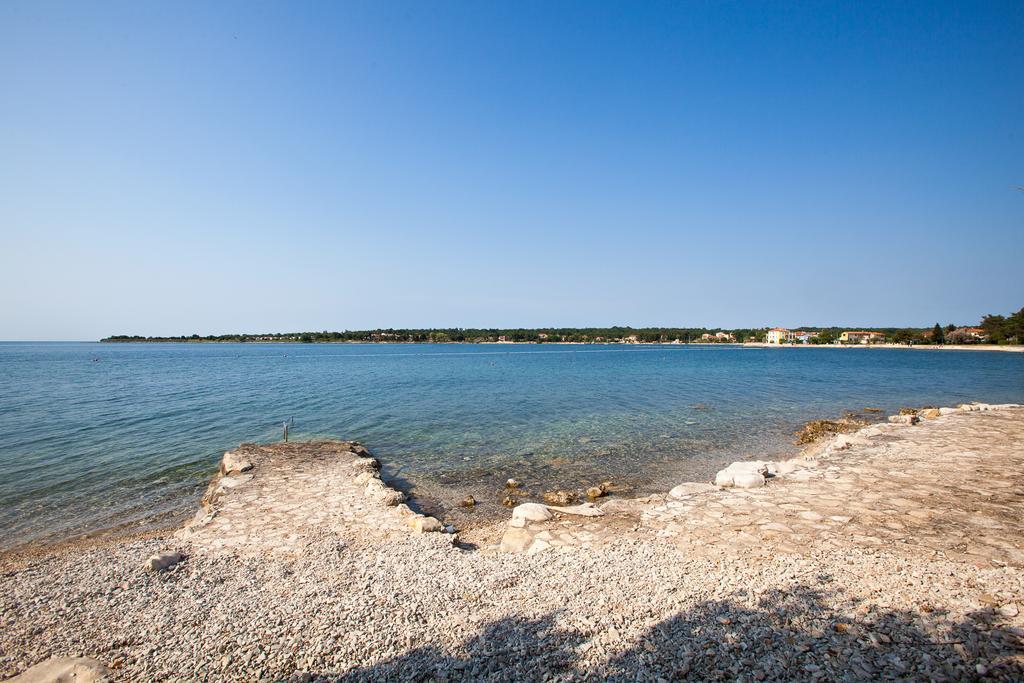 Daila Apartments Novigrad Istria 외부 사진